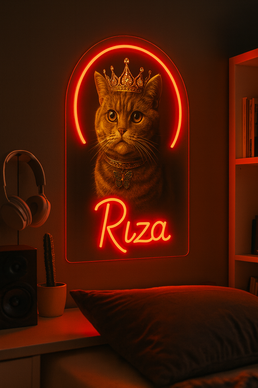 Kişiselleştirebilir Neon Aksesuar-patili dost
