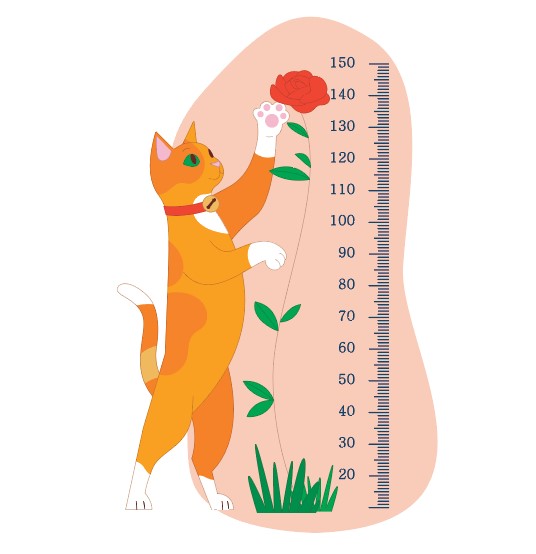 Sevimli Kedi Boy Ölçer Sticker | Pastel Renkli Yükseklik Cetveli