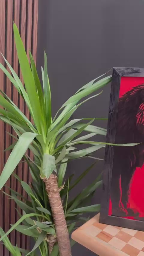 Asalet ve Güç Temalı Aslan ve Kadın Silüeti Siyah Çerçeveli Tablo | Modern Kırmızı Arka Plan Duvar Dekoru